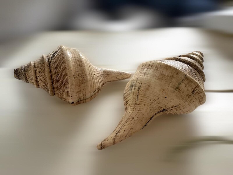 Ancient Tibetan Horn