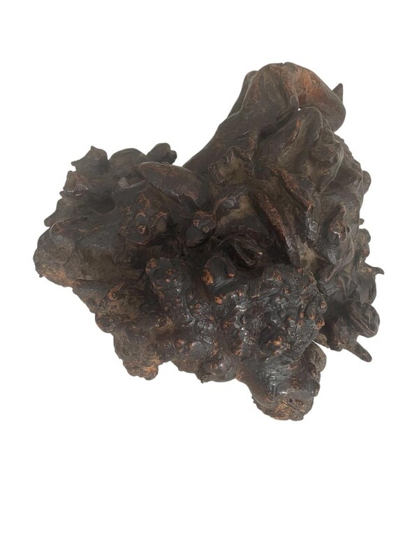 Authentic wooden root stump.