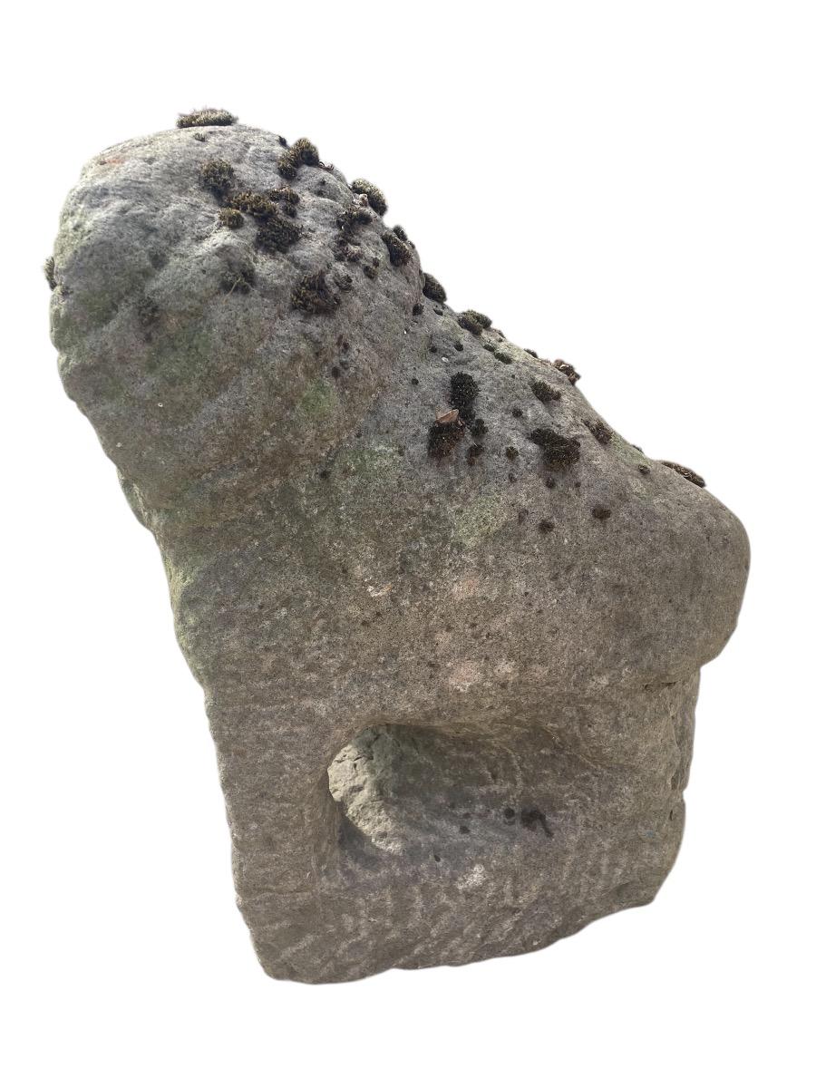 Lion in blue limestone 