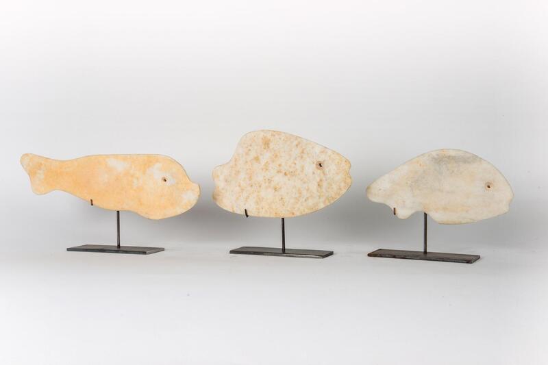 Stone fish 